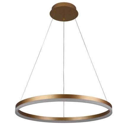 LED Reguliuojamas pakabinamas sietynas LED/42W/230V 3000-6500K diametras 60 cm + nuotolinio valdymo pultas
