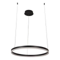 LED Reguliuojamas pakabinamas sietynas LED/42W/230V 3000-6500K + nuotolinio valdymo pultas