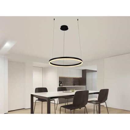 LED Reguliuojamas pakabinamas sietynas LED/42W/230V 3000-6500K + nuotolinio valdymo pultas