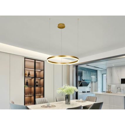 LED Reguliuojamas pakabinamas sietynas LED/42W/230V 3000-6500K + nuotolinio valdymo pultas