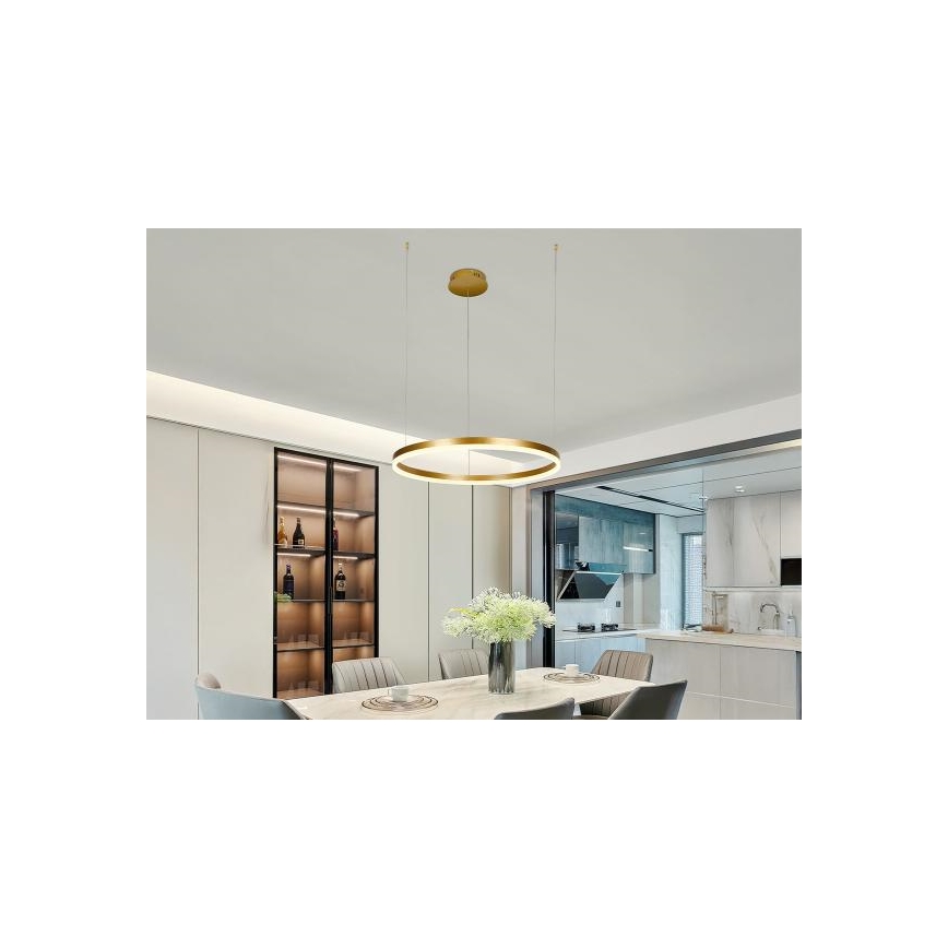 LED Reguliuojamas pakabinamas sietynas LED/42W/230V 3000-6500K + nuotolinio valdymo pultas