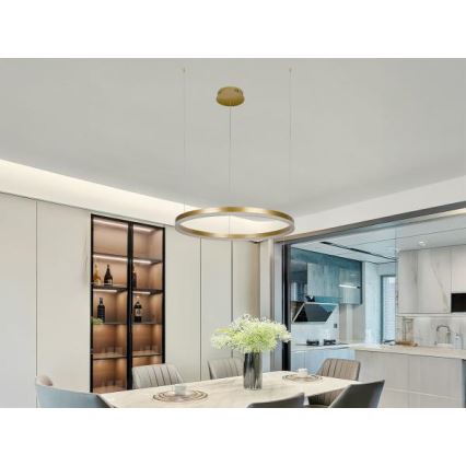 LED Reguliuojamas pakabinamas sietynas LED/42W/230V 3000-6500K + nuotolinio valdymo pultas