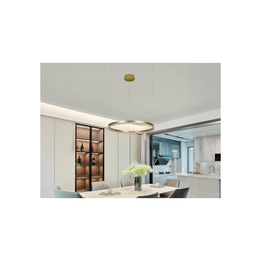 LED Reguliuojamas pakabinamas sietynas LED/42W/230V 3000-6500K + nuotolinio valdymo pultas