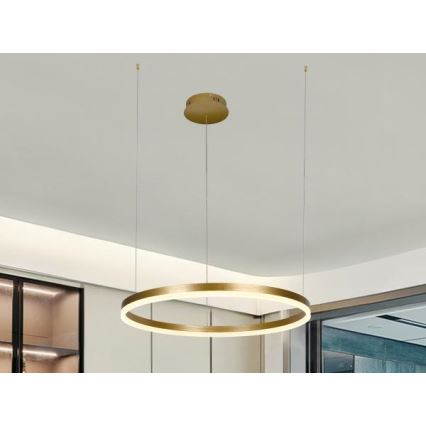 LED Reguliuojamas pakabinamas sietynas LED/42W/230V 3000-6500K + nuotolinio valdymo pultas