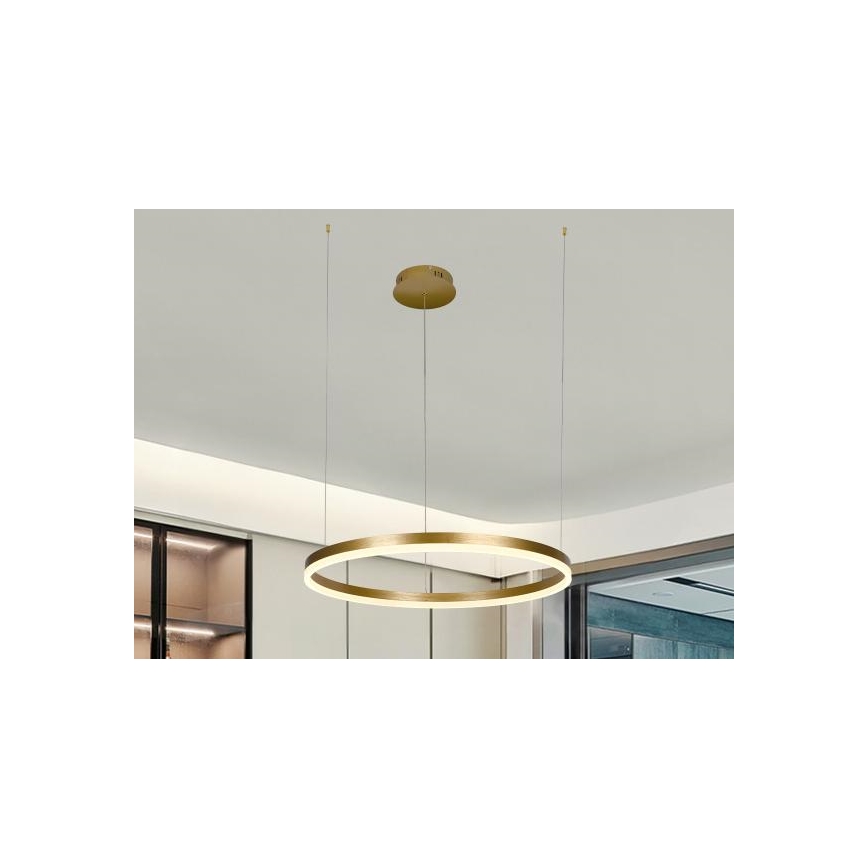 LED Reguliuojamas pakabinamas sietynas LED/42W/230V 3000-6500K + nuotolinio valdymo pultas