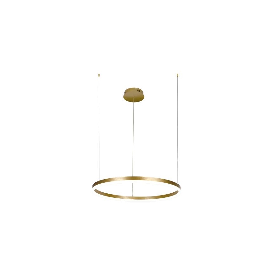 LED Reguliuojamas pakabinamas sietynas LED/42W/230V 3000-6500K + nuotolinio valdymo pultas