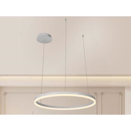 LED Reguliuojamas pakabinamas sietynas LED/42W/230V 3000-6500K + nuotolinio valdymo pultas