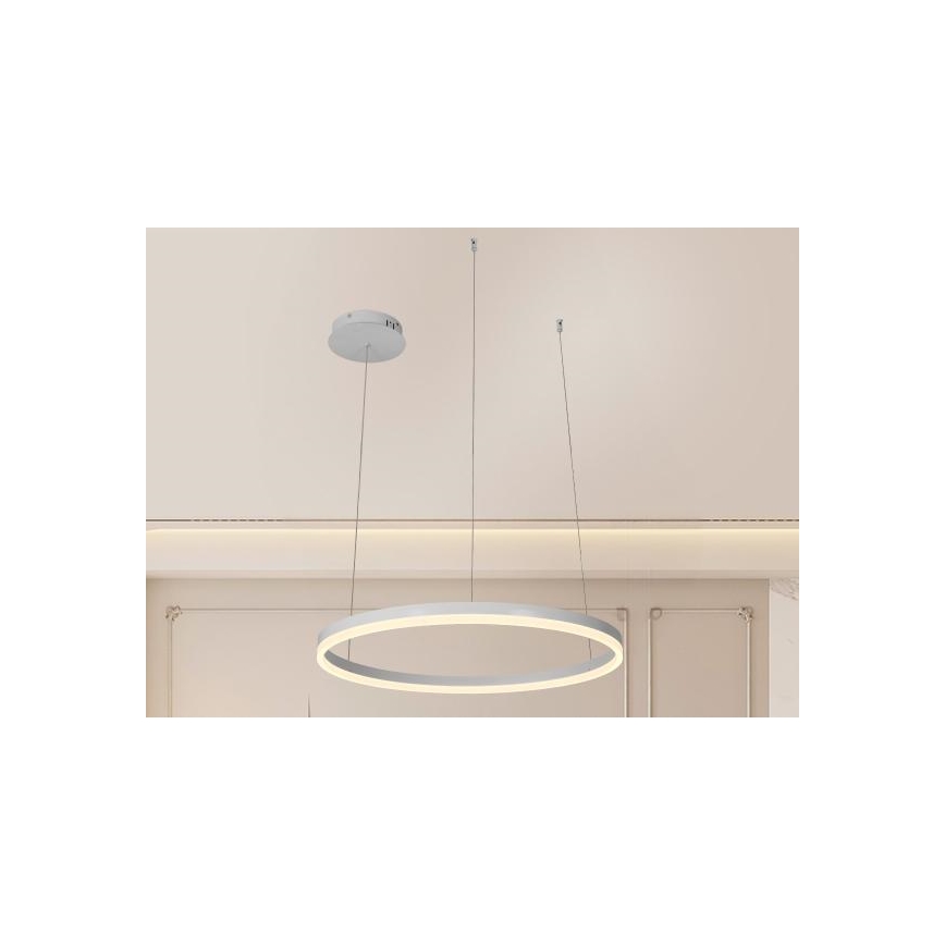 LED Reguliuojamas pakabinamas sietynas LED/42W/230V 3000-6500K + nuotolinio valdymo pultas