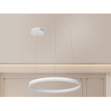 LED Reguliuojamas pakabinamas sietynas LED/42W/230V 3000-6500K + nuotolinio valdymo pultas