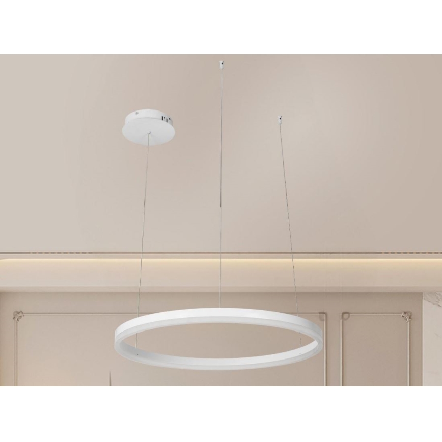 LED Reguliuojamas pakabinamas sietynas LED/42W/230V 3000-6500K + nuotolinio valdymo pultas