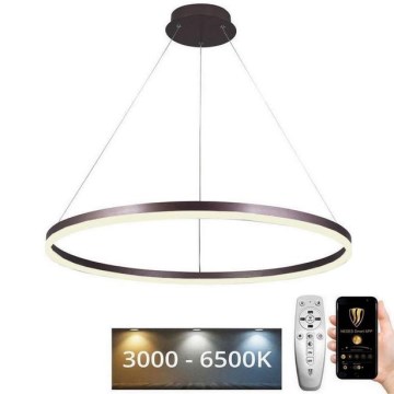 LED Reguliuojamas pakabinamas sietynas LED/55W/230V 3000-6500K diametras 80 cm + nuotolinio valdymo pultas
