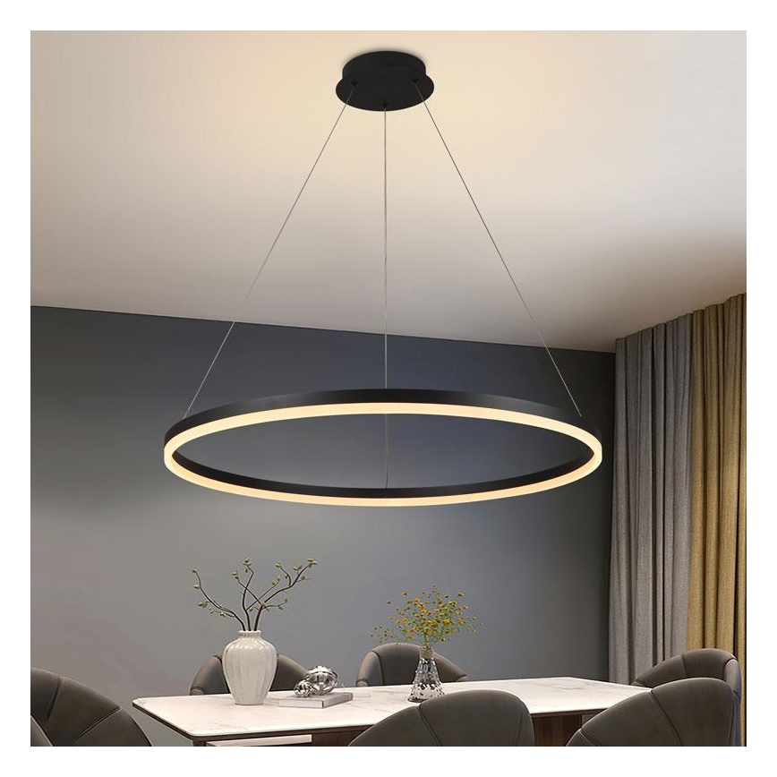 LED Reguliuojamas pakabinamas sietynas LED/55W/230V 3000-6500K diametras 80 cm + nuotolinio valdymo pultas