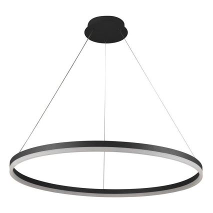 LED Reguliuojamas pakabinamas sietynas LED/55W/230V 3000-6500K diametras 80 cm + nuotolinio valdymo pultas