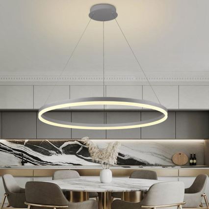 LED Reguliuojamas pakabinamas sietynas LED/55W/230V 3000-6500K diametras 80 cm + nuotolinio valdymo pultas
