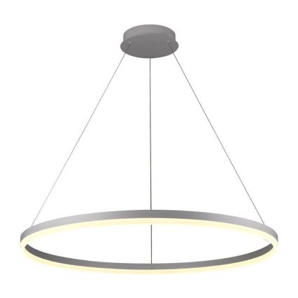 LED Reguliuojamas pakabinamas sietynas LED/55W/230V 3000-6500K diametras 80 cm + nuotolinio valdymo pultas