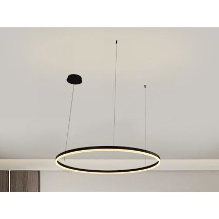 LED Reguliuojamas pakabinamas sietynas LED/55W/230V 3000-6500K + nuotolinio valdymo pultas