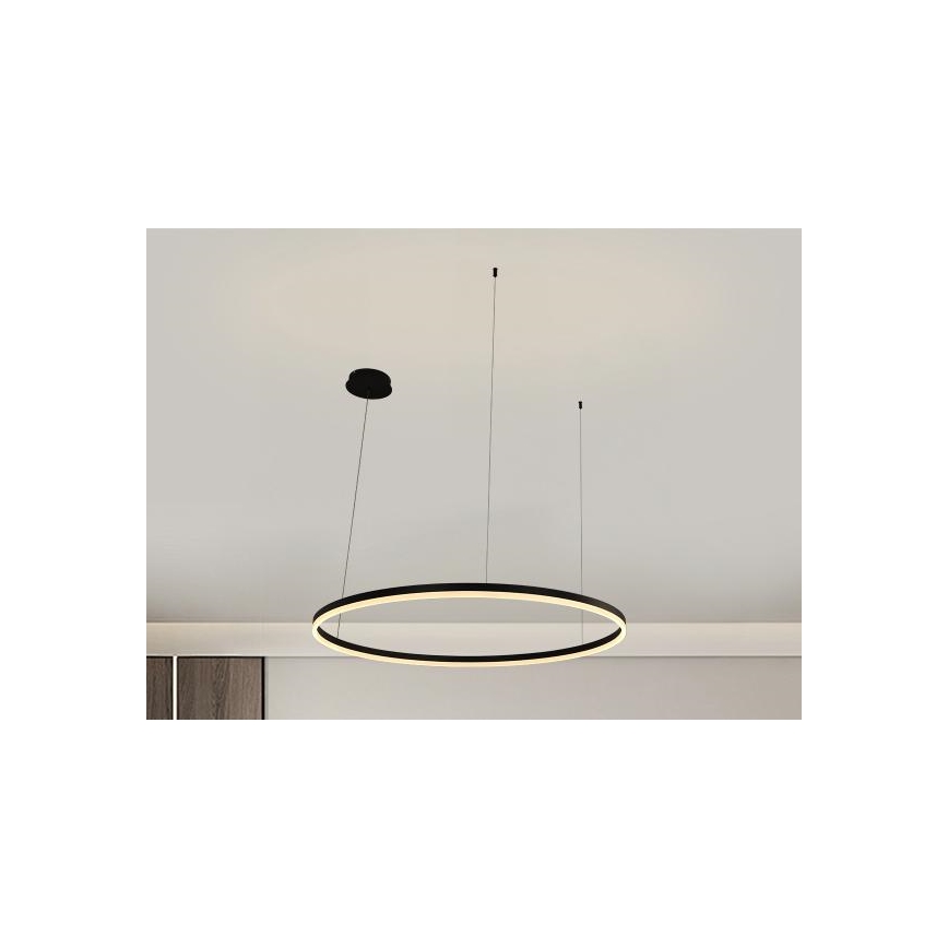 LED Reguliuojamas pakabinamas sietynas LED/55W/230V 3000-6500K + nuotolinio valdymo pultas