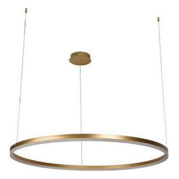 LED Reguliuojamas pakabinamas sietynas LED/55W/230V 3000-6500K + nuotolinio valdymo pultas