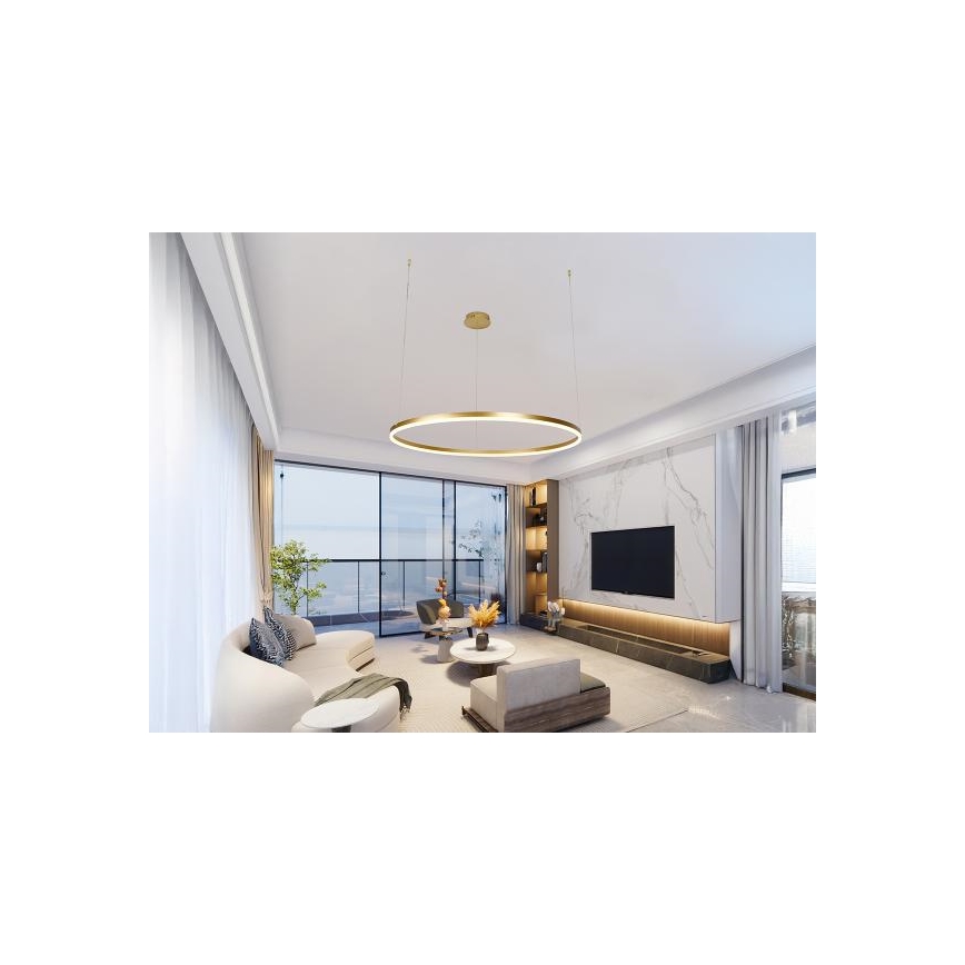 LED Reguliuojamas pakabinamas sietynas LED/55W/230V 3000-6500K + nuotolinio valdymo pultas