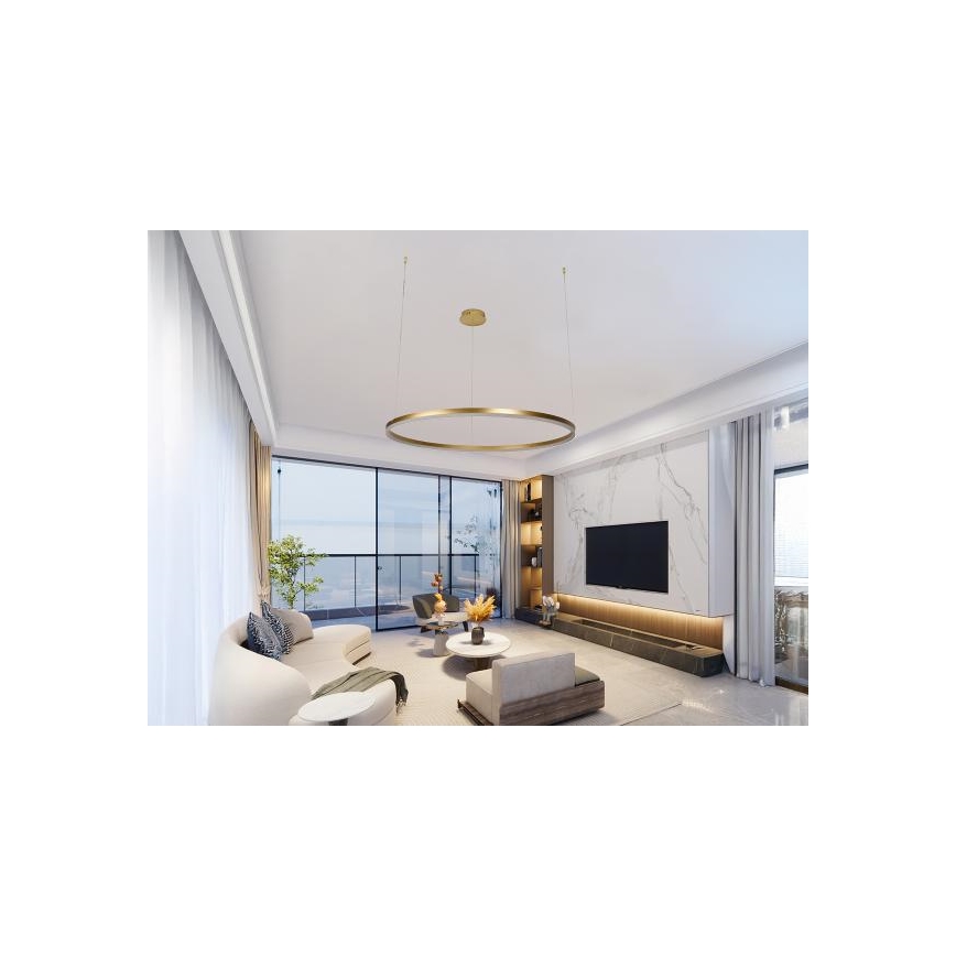 LED Reguliuojamas pakabinamas sietynas LED/55W/230V 3000-6500K + nuotolinio valdymo pultas