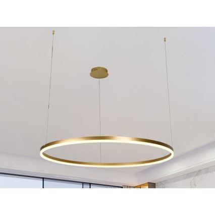 LED Reguliuojamas pakabinamas sietynas LED/55W/230V 3000-6500K + nuotolinio valdymo pultas