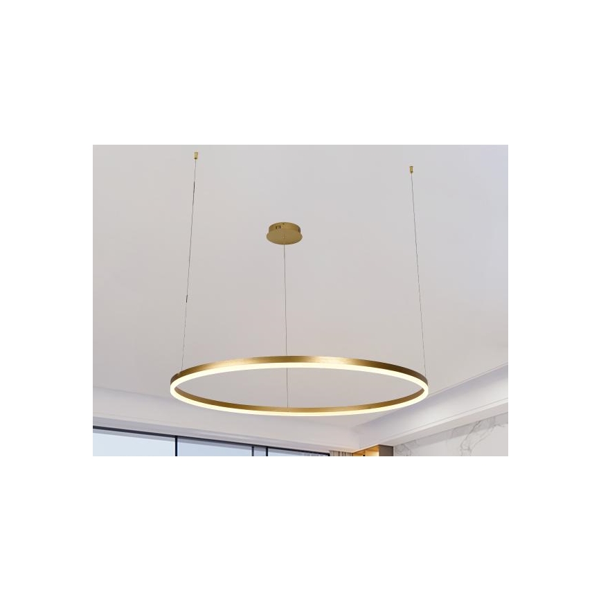 LED Reguliuojamas pakabinamas sietynas LED/55W/230V 3000-6500K + nuotolinio valdymo pultas