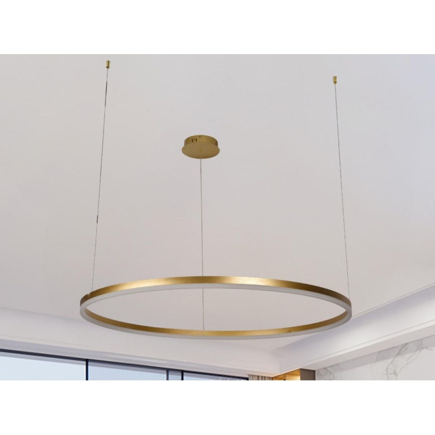 LED Reguliuojamas pakabinamas sietynas LED/55W/230V 3000-6500K + nuotolinio valdymo pultas