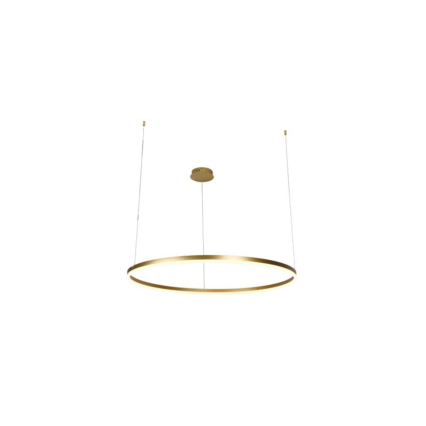 LED Reguliuojamas pakabinamas sietynas LED/55W/230V 3000-6500K + nuotolinio valdymo pultas
