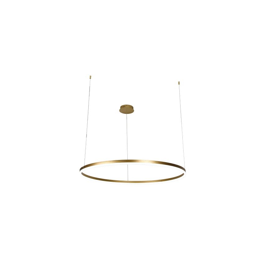 LED Reguliuojamas pakabinamas sietynas LED/55W/230V 3000-6500K + nuotolinio valdymo pultas