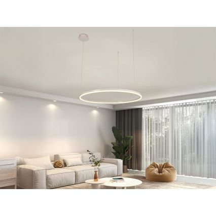 LED Reguliuojamas pakabinamas sietynas LED/55W/230V 3000-6500K + nuotolinio valdymo pultas
