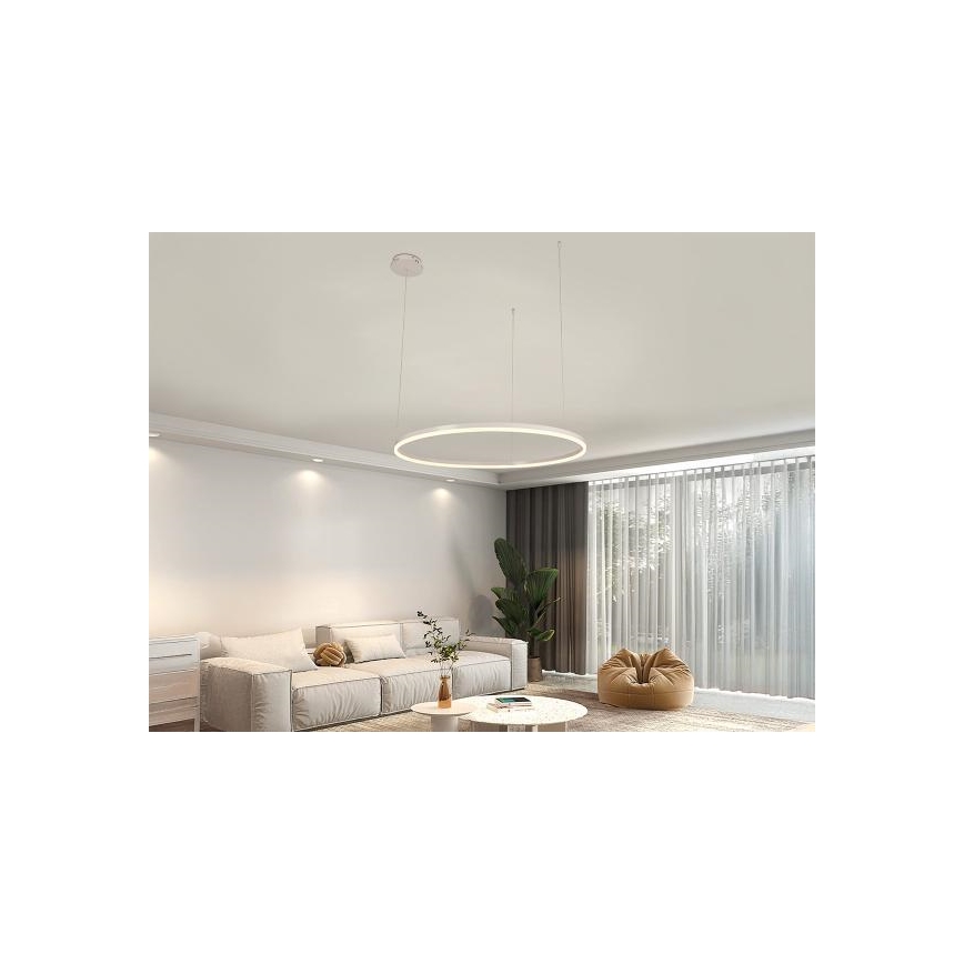 LED Reguliuojamas pakabinamas sietynas LED/55W/230V 3000-6500K + nuotolinio valdymo pultas