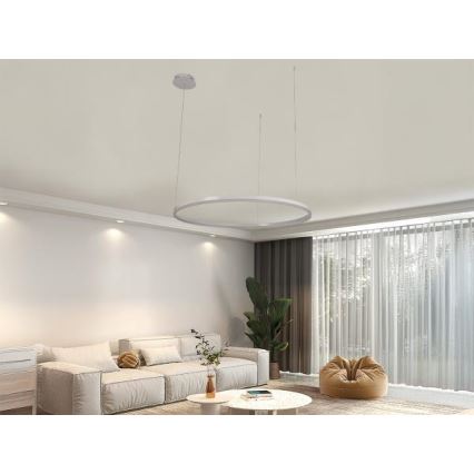 LED Reguliuojamas pakabinamas sietynas LED/55W/230V 3000-6500K + nuotolinio valdymo pultas