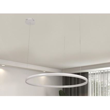LED Reguliuojamas pakabinamas sietynas LED/55W/230V 3000-6500K diametras 80 cm + nuotolinio valdymo pultas
