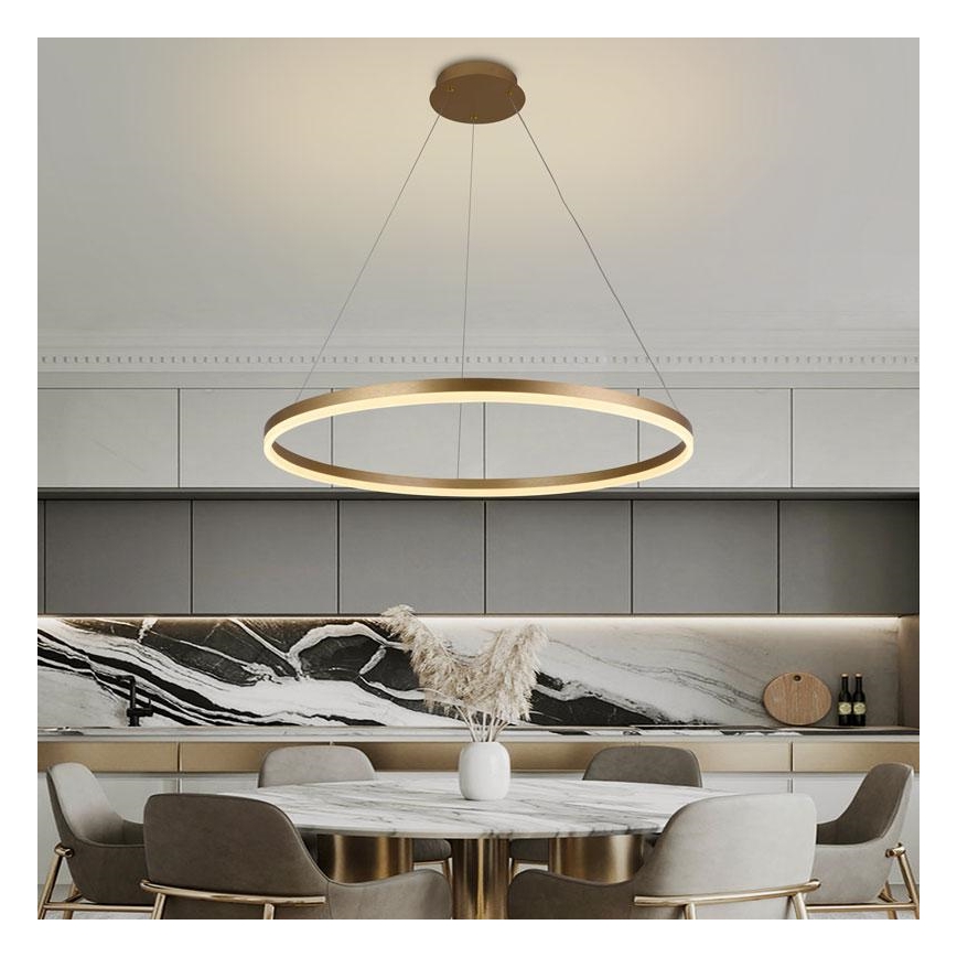 LED Reguliuojamas pakabinamas sietynas LED/55W/230V 3000-6500K + valdymo pultas