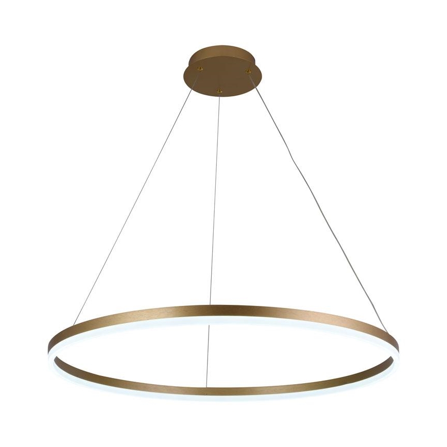 LED Reguliuojamas pakabinamas sietynas LED/55W/230V 3000-6500K + valdymo pultas