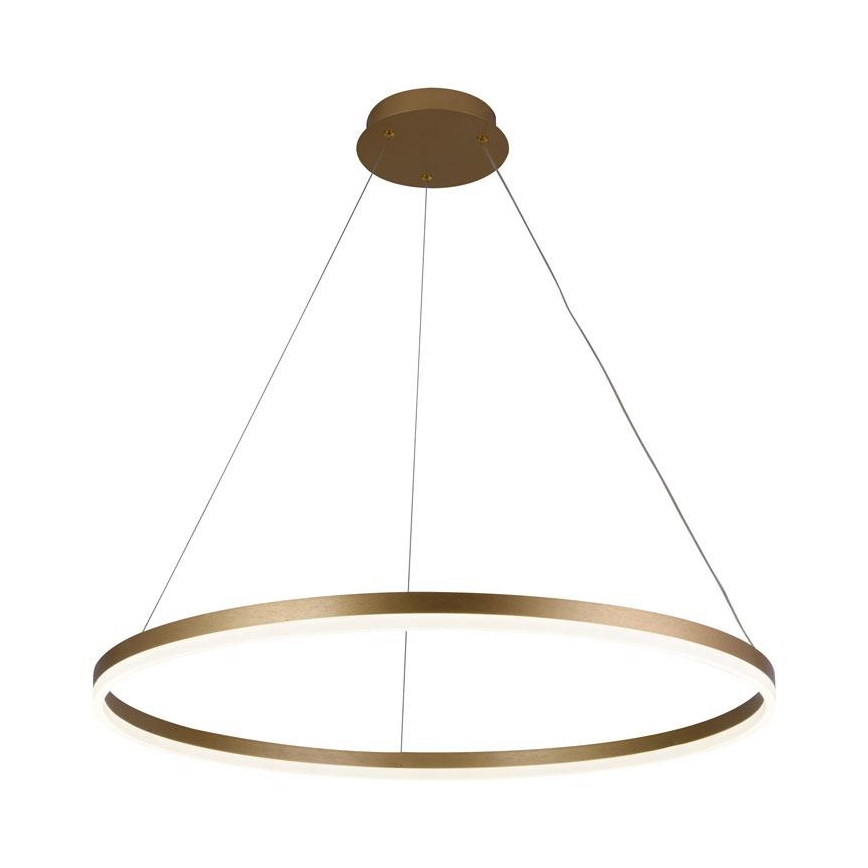 LED Reguliuojamas pakabinamas sietynas LED/55W/230V 3000-6500K + valdymo pultas