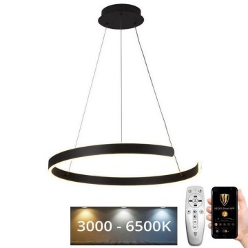 LED Reguliuojamas pakabinamas sietynas LED/70W/230V 3000-6500K diametras 60 cm + nuotolinio valdymo pultas
