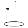 LED Reguliuojamas pakabinamas sietynas LED/72W/230V 3000-6500K + nuotolinio valdymo pultas