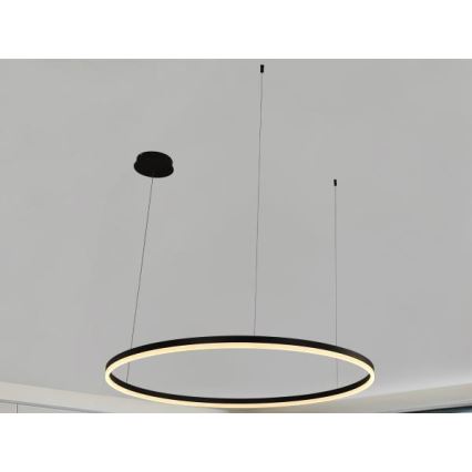 LED Reguliuojamas pakabinamas sietynas LED/72W/230V 3000-6500K + nuotolinio valdymo pultas