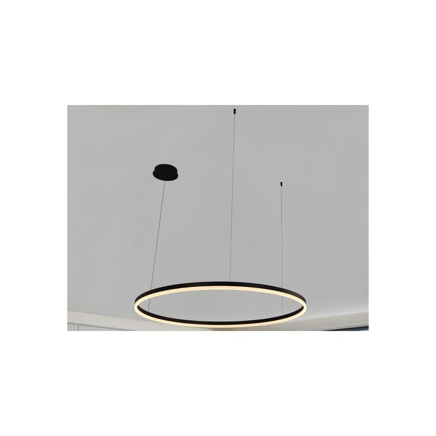 LED Reguliuojamas pakabinamas sietynas LED/72W/230V 3000-6500K + nuotolinio valdymo pultas