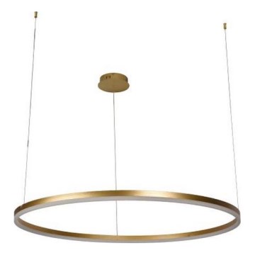 LED Reguliuojamas pakabinamas sietynas LED/72W/230V 3000-6500K + nuotolinio valdymo pultas