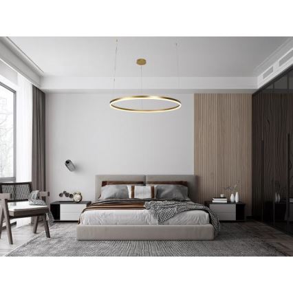 LED Reguliuojamas pakabinamas sietynas LED/72W/230V 3000-6500K + nuotolinio valdymo pultas