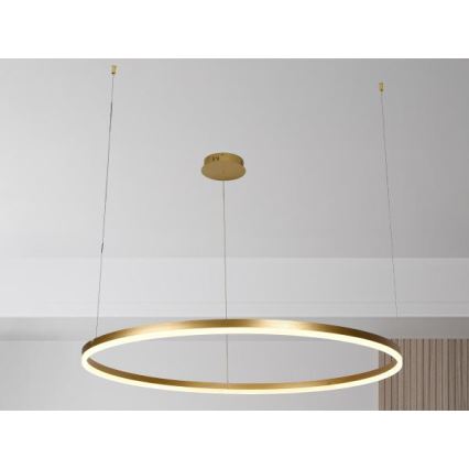 LED Reguliuojamas pakabinamas sietynas LED/72W/230V 3000-6500K + nuotolinio valdymo pultas