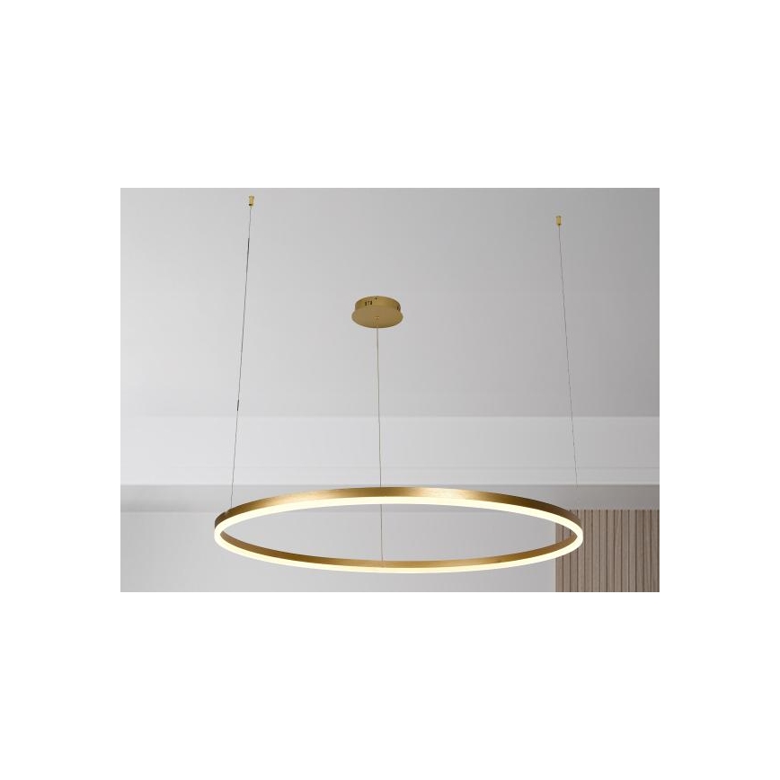 LED Reguliuojamas pakabinamas sietynas LED/72W/230V 3000-6500K + nuotolinio valdymo pultas