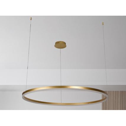 LED Reguliuojamas pakabinamas sietynas LED/72W/230V 3000-6500K + nuotolinio valdymo pultas