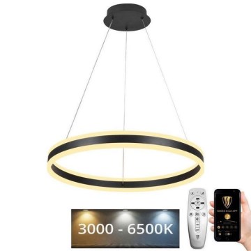 LED Reguliuojamas pakabinamas sietynas LED/85W/230V 3000-6500K diametras 60 cm + nuotolinio valdymo pultas