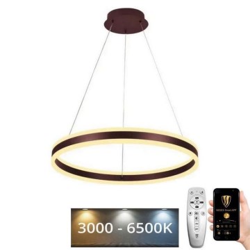 LED Reguliuojamas pakabinamas sietynas LED/85W/230V 3000-6500K diametras 60 cm + nuotolinio valdymo pultas