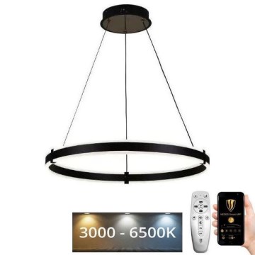 LED Reguliuojamas pakabinamas sietynas LED/85W/230V 3000-6500K diametras 60 cm + nuotolinio valdymo pultas