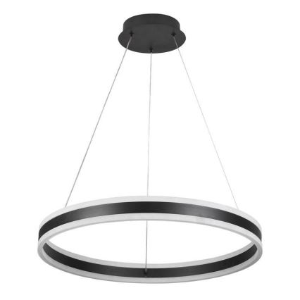 LED Reguliuojamas pakabinamas sietynas LED/85W/230V 3000-6500K diametras 60 cm + nuotolinio valdymo pultas