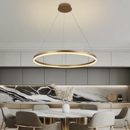 LED reguliuojamas šviestuvas ant laido LED/55W/230V 3000-6500K skersmuo 80 cm + nuotolinis valdymas